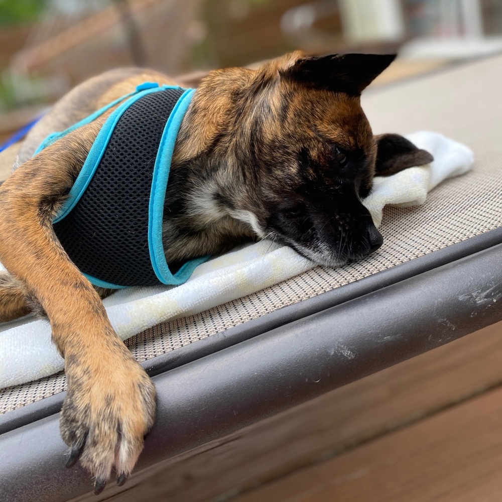 Meet your Posher, Chloe